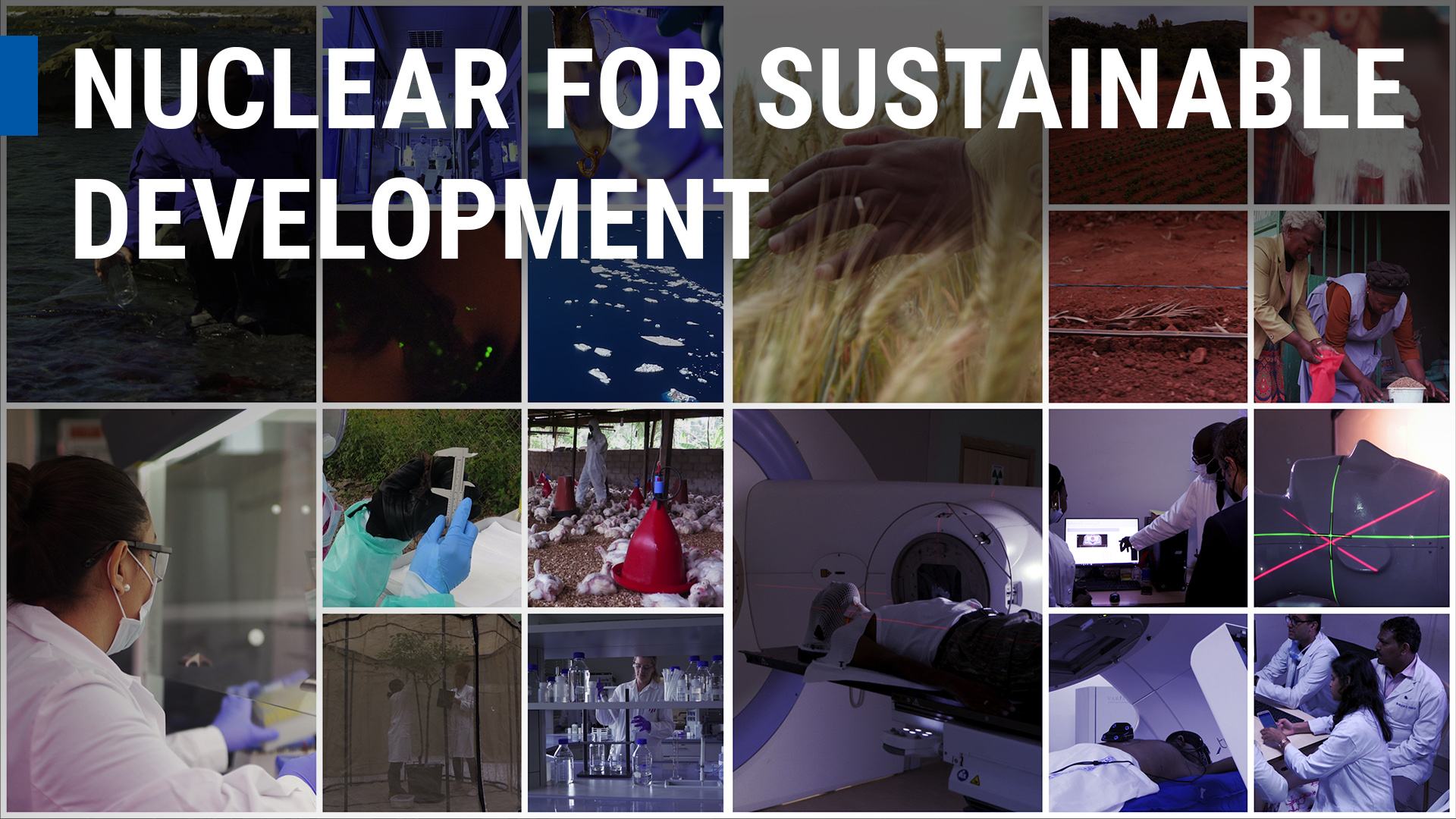 How the IAEA and Nuclear Techniques Support a Sustainable Future