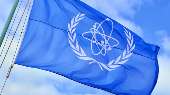 Update 311 – IAEA Director General Statement on Situation in Ukraine