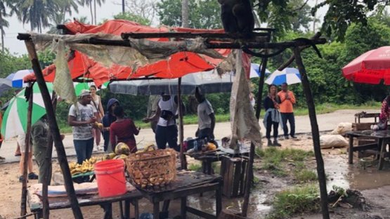  إنتاج الأرز في زنجبار: تقنيات نووية ضاعفت الغلة و المحصول  (باللغة الإنكليزية)