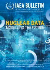 Nuclear Data: Modelling the Future