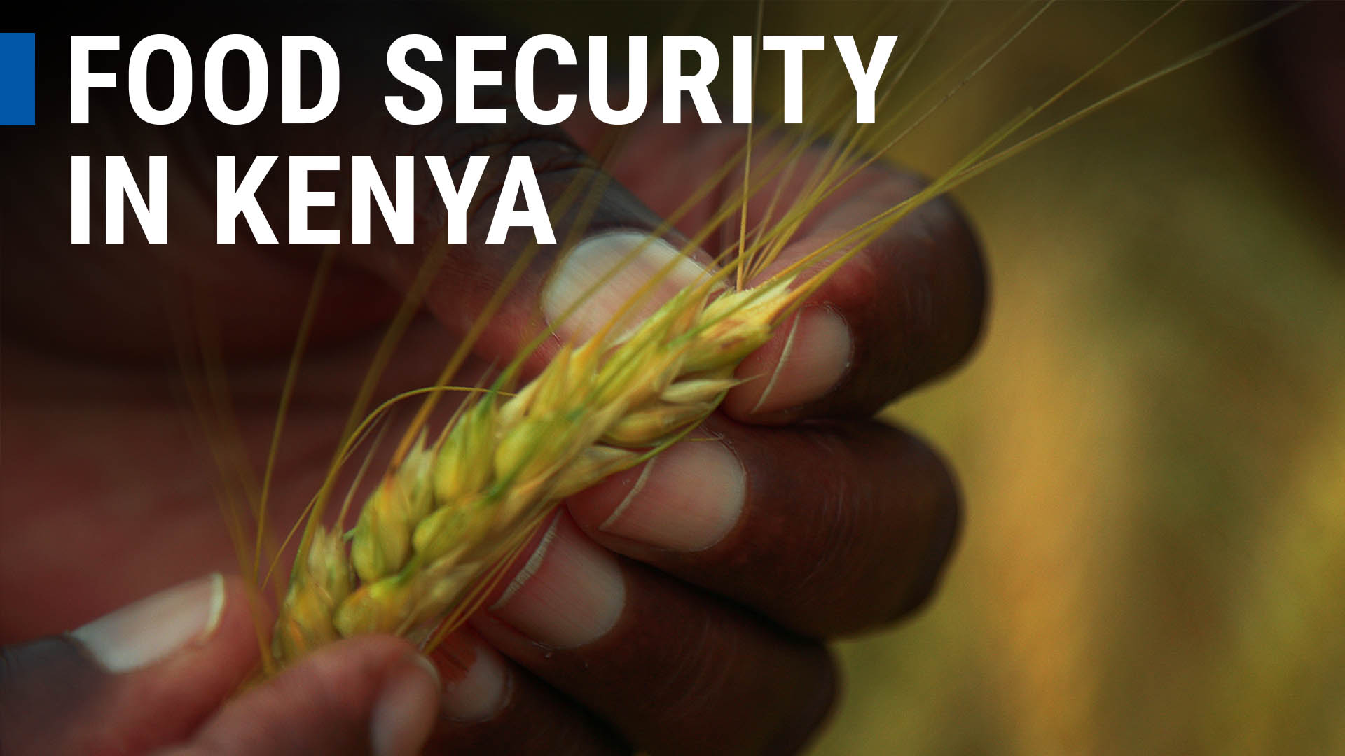 Food Security in Kenya: Growing More with Nuclear Techniques 