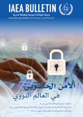 الأمن الحاسوبي في العالم النووي