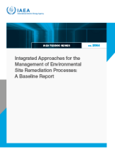 Integrated Approaches for the Management of Environmental Site Remediation Processes: A Baseline Report